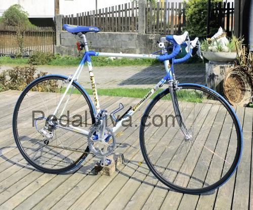 Tommasini Racing ficha tecnica